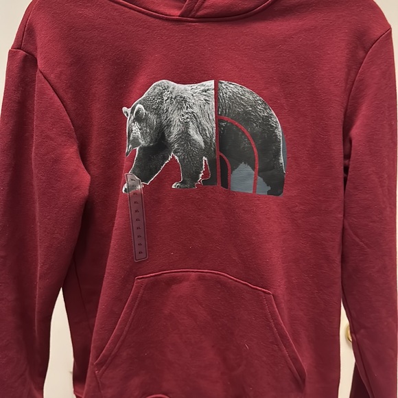 The North Face Kids Camp Fleece Pullover Hoodie - Picture 4 of 13